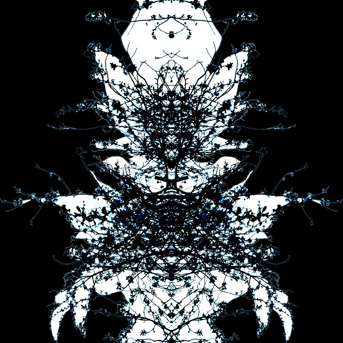 essential organic eco hoodie for men.