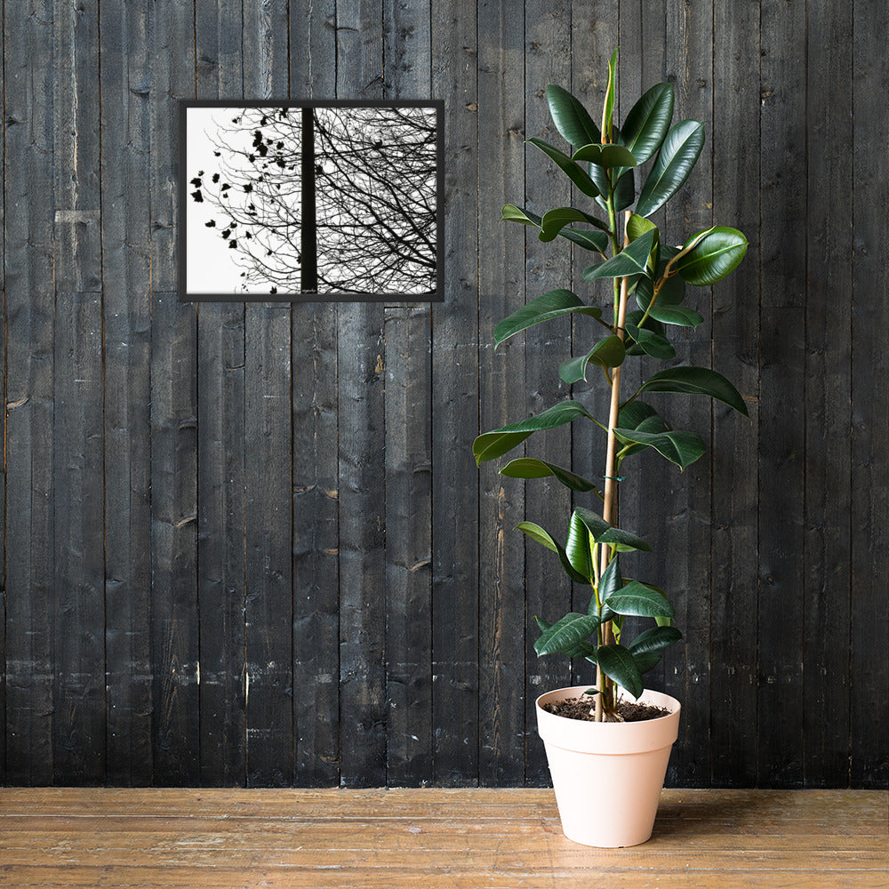 Outside the fence . Art wall. Framed premium photo paper poster. Decor your home.