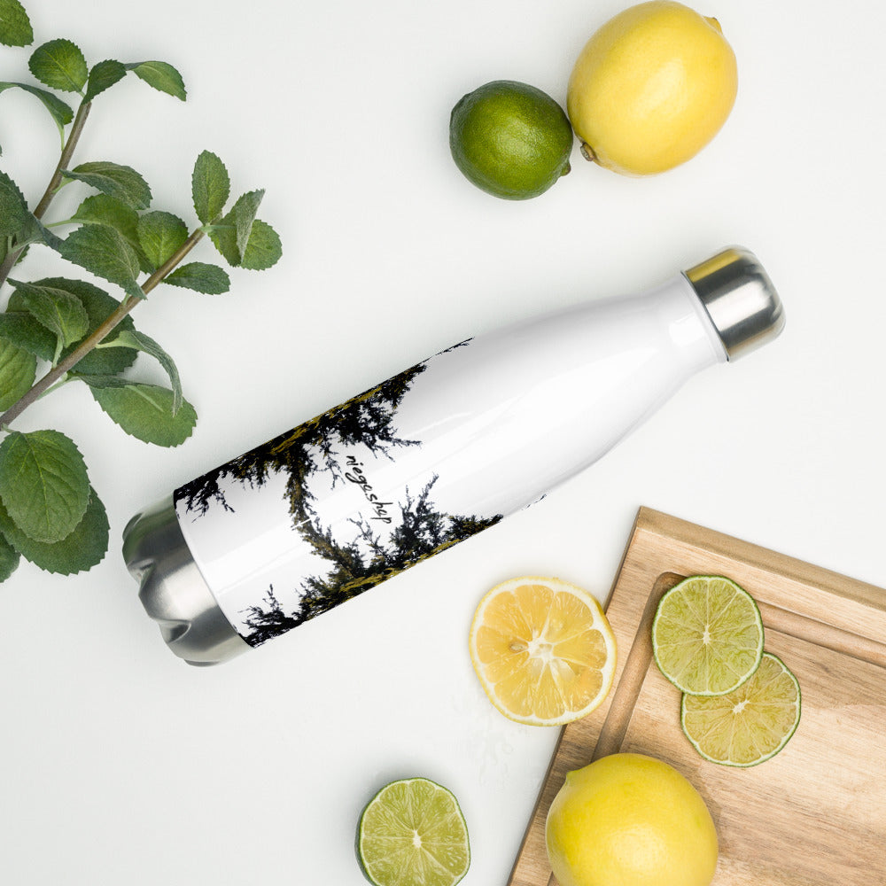 Stainless Steel Water Bottle